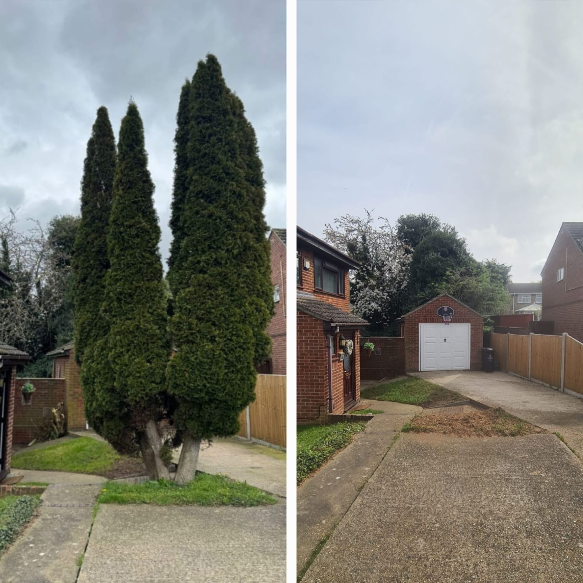 stump grinding colchester
