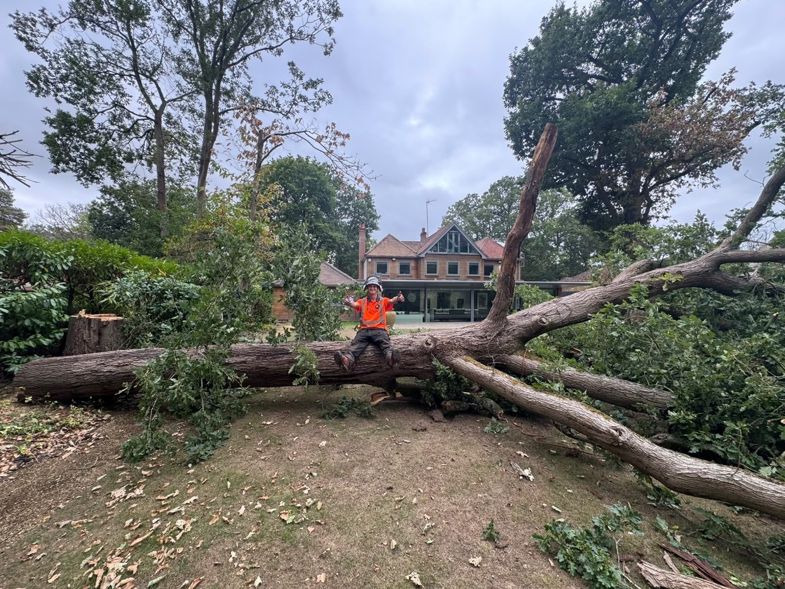 emergency storm damage tree removal colchester
