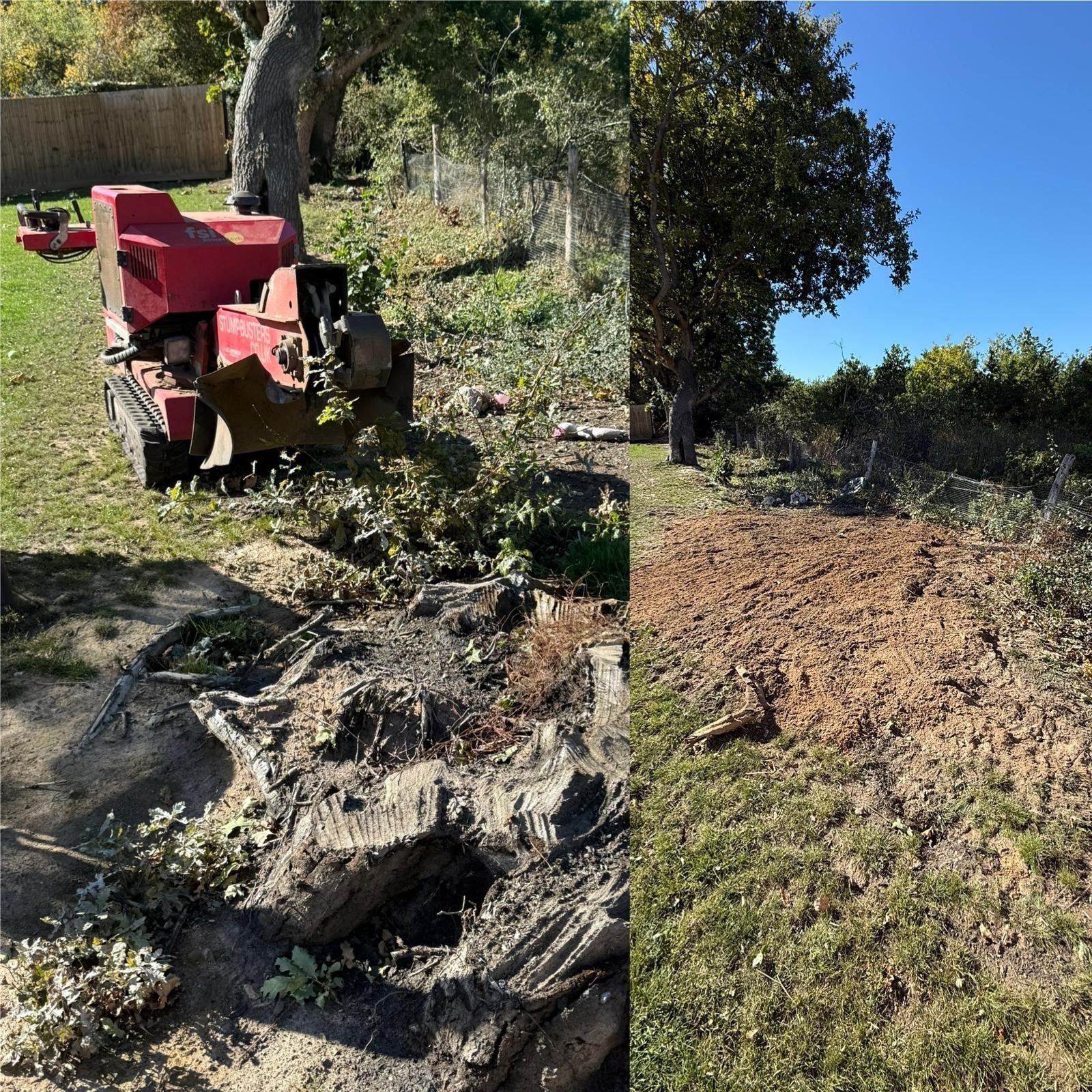 stump grinding colchester