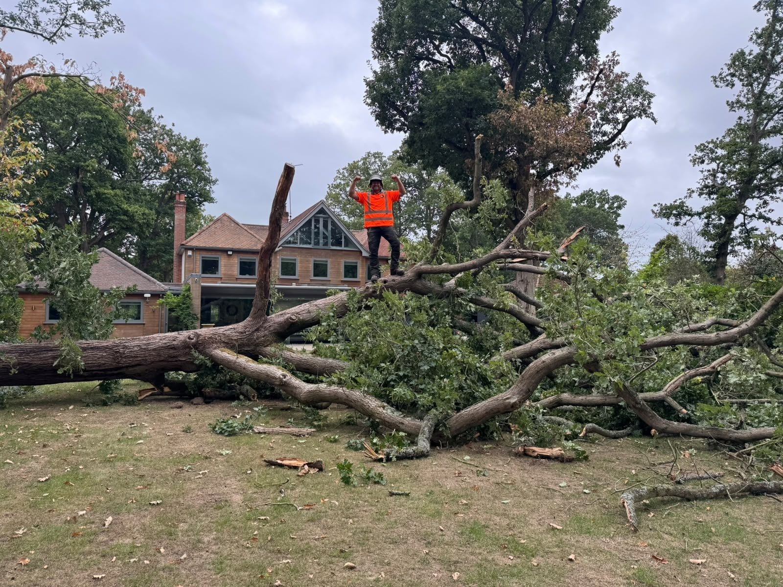 Emergency storm damaged tree removal in Colchester (photo 2)