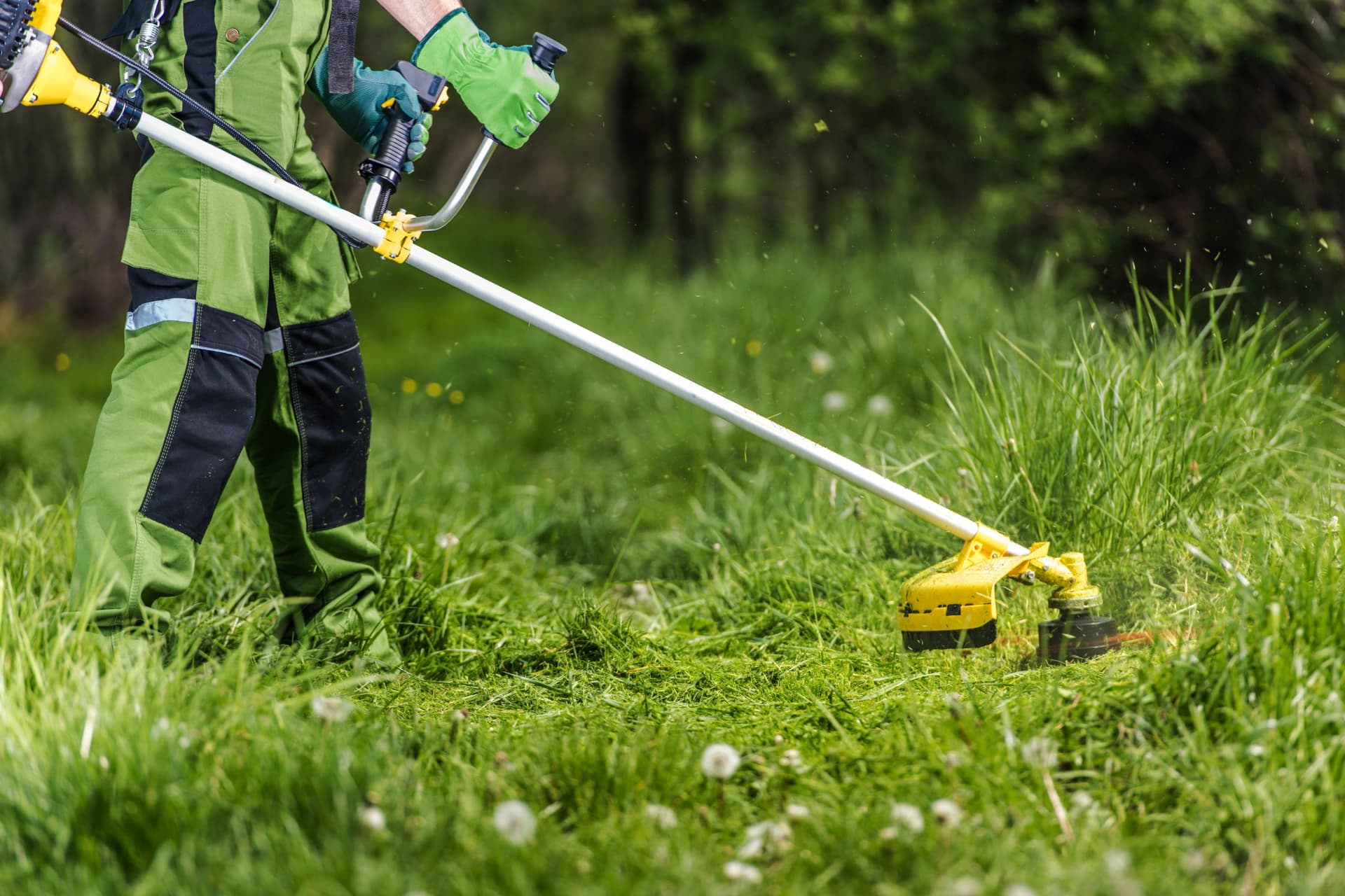 Clearing overgrown grass and vegetation with a brush cutter in Colchester, Essex