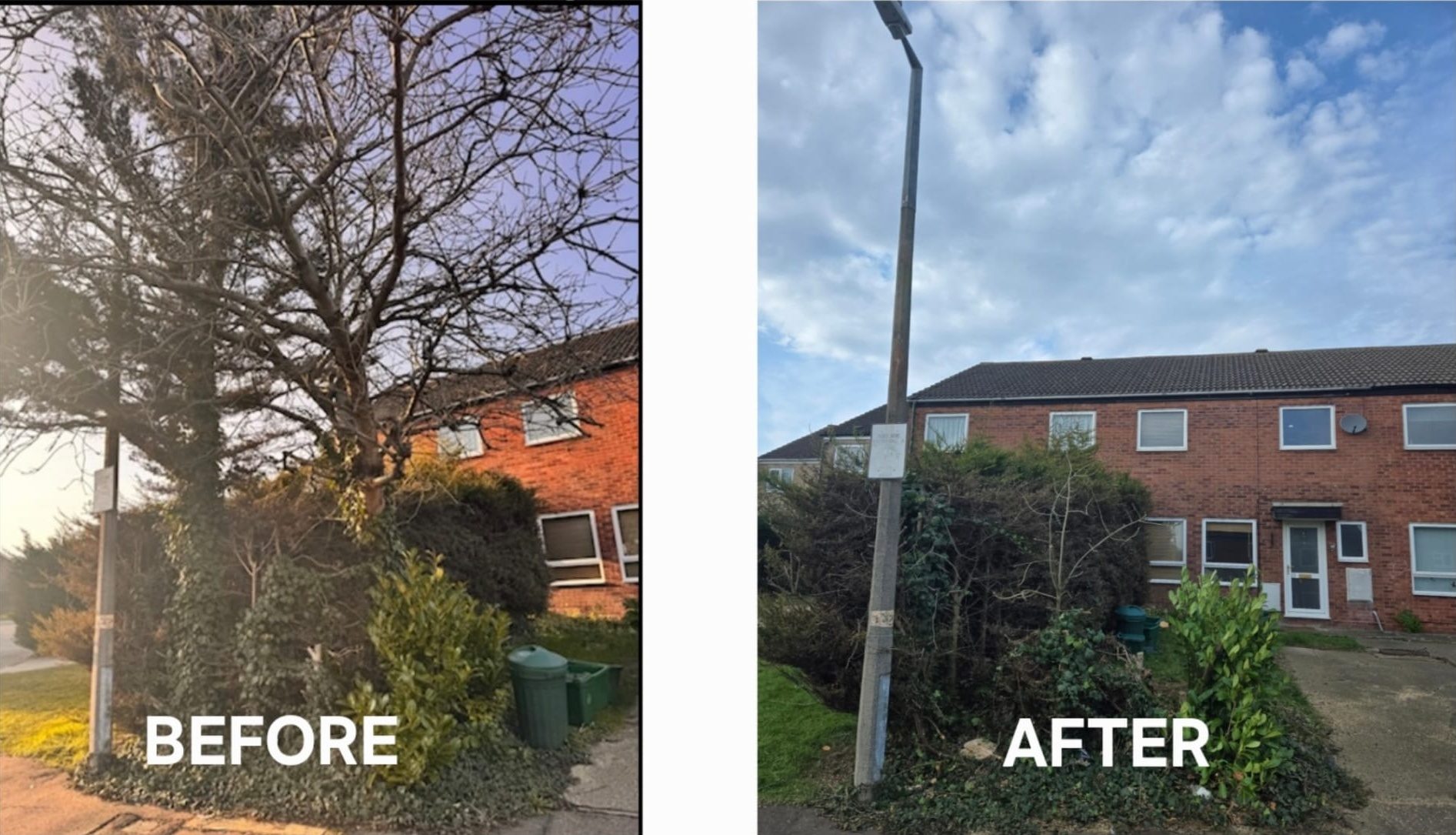 vegetation clearance colchester