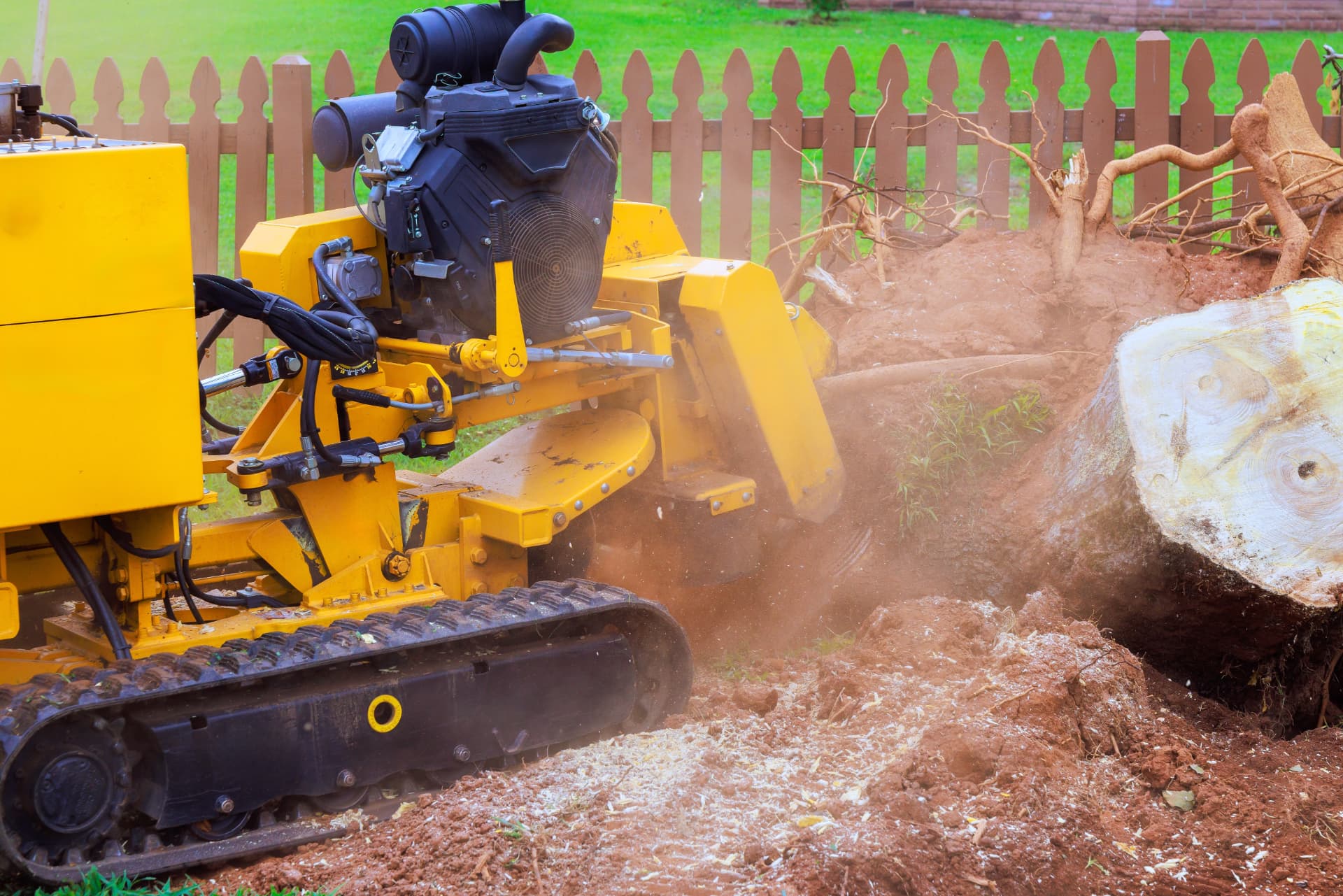 Stump grinder removing a tree stump beside a garden fence in Colchester, Essex