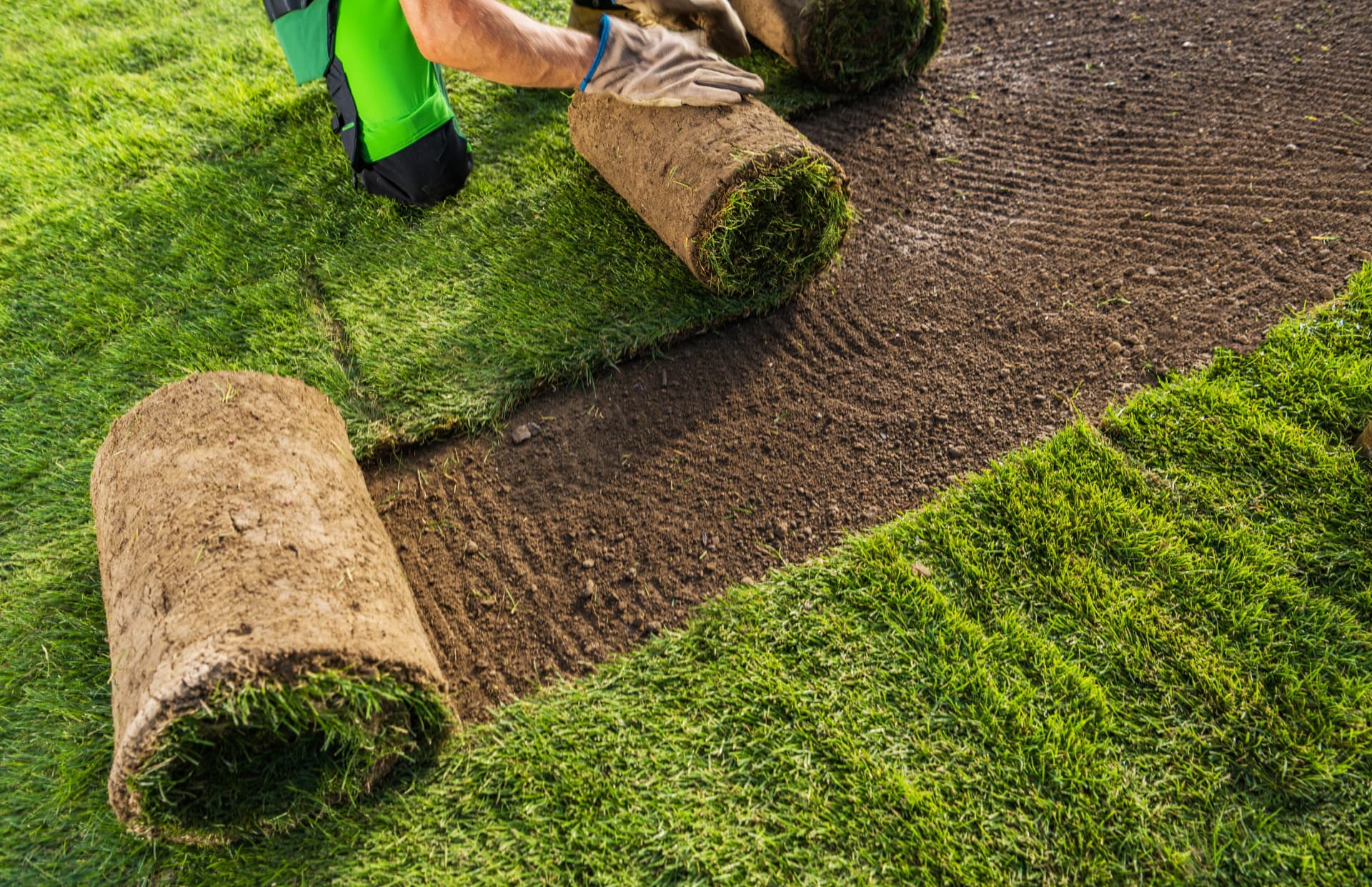 Laying new turf rolls on prepared soil in Colchester, Essex